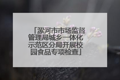 漯河市市场监督管理局城乡一体化示范区分局开展校园食品专项检查