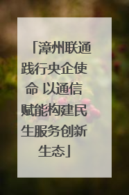 漳州联通践行央企使命 以通信赋能构建民生服务创新生态