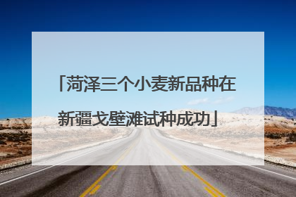 菏泽三个小麦新品种在新疆戈壁滩试种成功