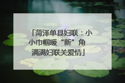 菏泽单县妇联：小小巾帼暖“新”角 满满妇联关爱情