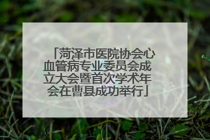 菏泽市医院协会心血管病专业委员会成立大会暨首次学术年会在曹县成功举行