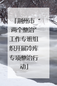 荆州市“两个整治”工作专班组织开展冷库专项整治行动
