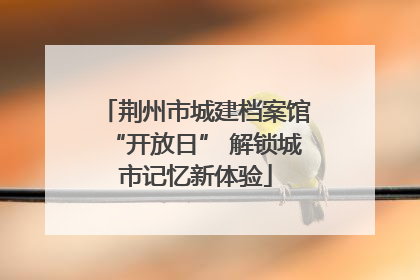 荆州市城建档案馆“开放日” 解锁城市记忆新体验
