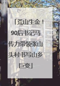 荒山生金！90后书记马传力带领张山头村书写山乡巨变