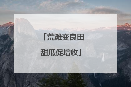 荒滩变良田 甜瓜促增收