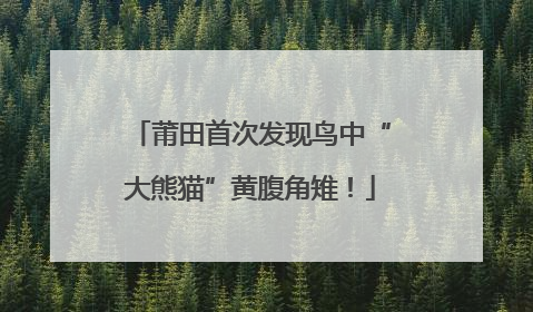 莆田首次发现鸟中“大熊猫”黄腹角雉！