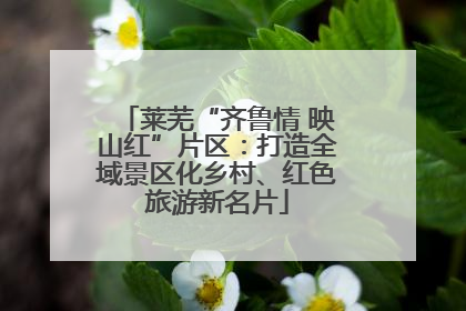 莱芜“齐鲁情 映山红”片区：打造全域景区化乡村、红色旅游新名片