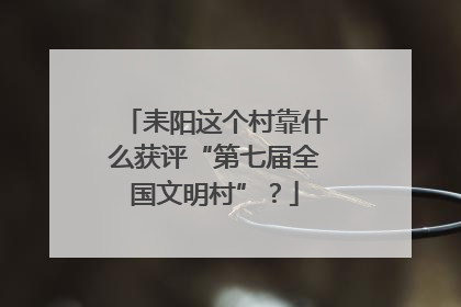 耒阳这个村靠什么获评“第七届全国文明村”？