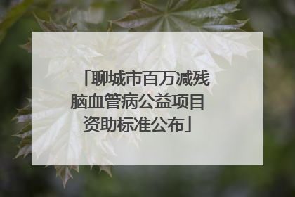 聊城市百万减残脑血管病公益项目资助标准公布
