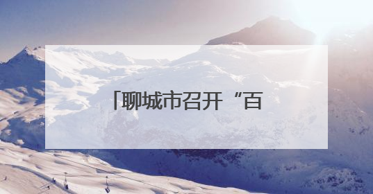 聊城市召开“百吨王”货车专项治理工作部署会议