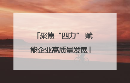 聚焦“四力” 赋能企业高质量发展