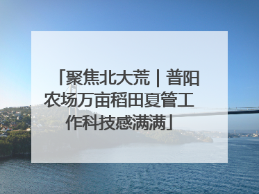 聚焦北大荒｜普阳农场万亩稻田夏管工作科技感满满