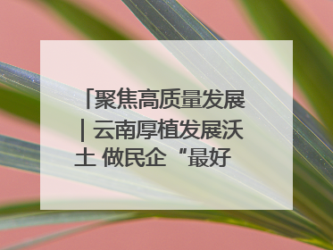 聚焦高质量发展｜云南厚植发展沃土 做民企“最好合伙人”