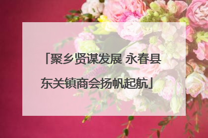 聚乡贤谋发展 永春县东关镇商会扬帆起航