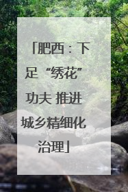 肥西：下足“绣花”功夫 推进城乡精细化治理