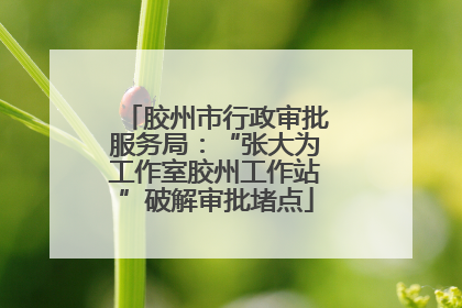 胶州市行政审批服务局：“张大为工作室胶州工作站”破解审批堵点