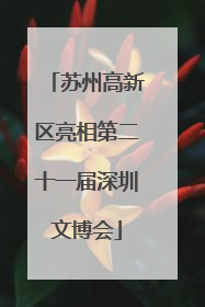 苏州高新区亮相第二十一届深圳文博会