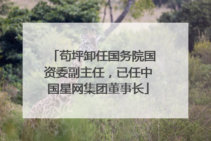 苟坪卸任国务院国资委副主任，已任中国星网集团董事长