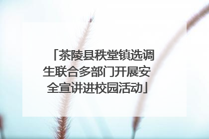 茶陵县秩堂镇选调生联合多部门开展安全宣讲进校园活动