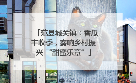 范县城关镇：香瓜丰收季，奏响乡村振兴 “甜蜜乐章”