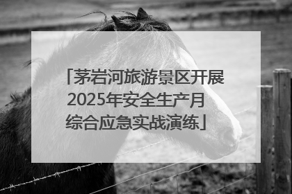 茅岩河旅游景区开展2025年安全生产月综合应急实战演练