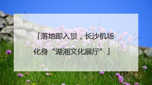 落地即入景，长沙机场化身“湖湘文化展厅”