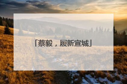 蔡毅，履新宣城