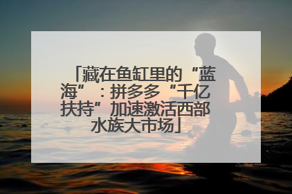 藏在鱼缸里的“蓝海”：拼多多“千亿扶持”加速激活西部水族大市场