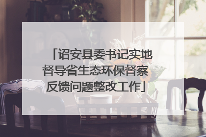 诏安县委书记实地督导省生态环保督察反馈问题整改工作