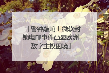 警钟敲响！微软封锁电邮事件凸显欧洲数字主权困境