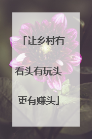 让乡村有看头有玩头更有赚头