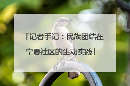 记者手记：民族团结在宁夏社区的生动实践