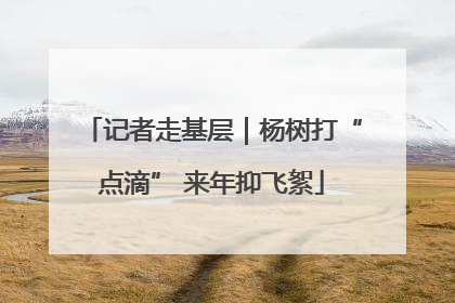 记者走基层｜杨树打“点滴” 来年抑飞絮