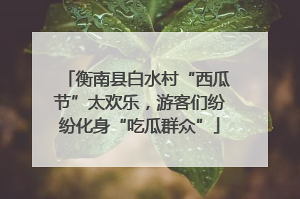 衡南县白水村“西瓜节”太欢乐，游客们纷纷化身“吃瓜群众”