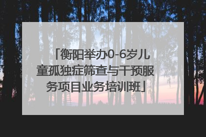 衡阳举办0-6岁儿童孤独症筛查与干预服务项目业务培训班