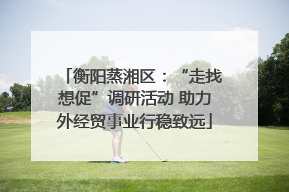 衡阳蒸湘区：“走找想促”调研活动 助力外经贸事业行稳致远
