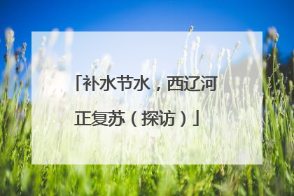 补水节水，西辽河正复苏（探访）