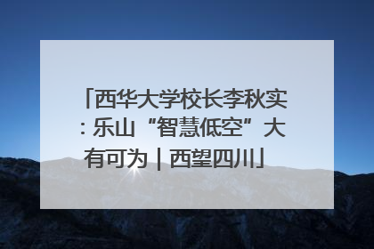 西华大学校长李秋实：乐山“智慧低空”大有可为｜西望四川