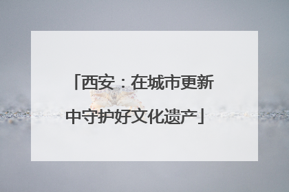 西安：在城市更新中守护好文化遗产