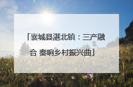 襄城县湛北镇：三产融合 奏响乡村振兴曲