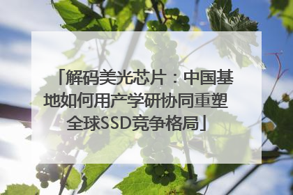解码美光芯片：中国基地如何用产学研协同重塑全球SSD竞争格局