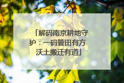 解码南京耕地守护：一码管田有方 沃土搬迁有道