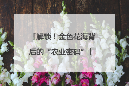解锁！金色花海背后的“农业密码”