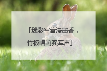 迷彩军营漫墨香，竹板唱响强军声