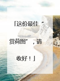 这份最佳“赏荷图”，请收好！
