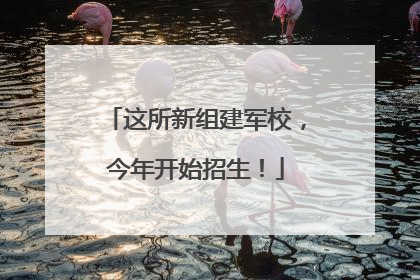 这所新组建军校，今年开始招生！