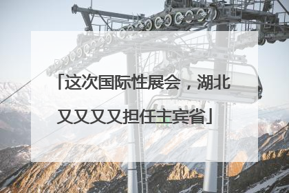 这次国际性展会，湖北又又又又担任主宾省