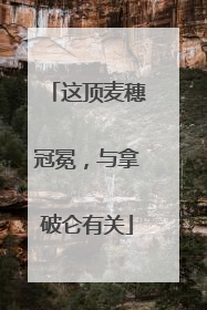 这顶麦穗冠冕，与拿破仑有关
