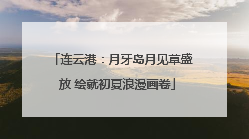 连云港：月牙岛月见草盛放 绘就初夏浪漫画卷