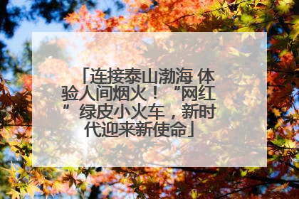 连接泰山渤海 体验人间烟火！“网红”绿皮小火车，新时代迎来新使命